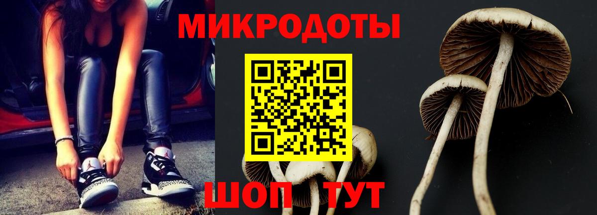 Псилоцибиновые грибы ЛСД  Вход с VPN  где купить   Балтийск 